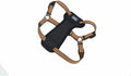 Coastal Pet K9 Explorer Reflective Adjustable Padded Dog Harness - Plush Chest Pad for Comfort - No-Pull Dog Harness for Small and Large Dogs - Campfire Orange - 5/8" x 12"-18", X-Small