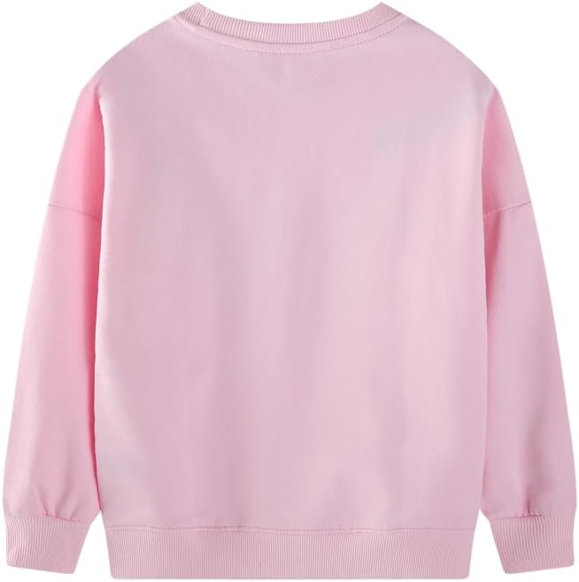 Toddler Baby Girls Cotton Sweater, Long Sleeve Crewneck Sweatshirt Pullover Kids Warm Clothing for Fall Winter