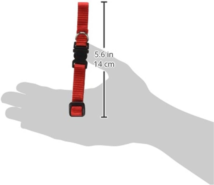 LupinePet Basics 1/2" Red 8-12" Adjustable Collar for Small Dogs
