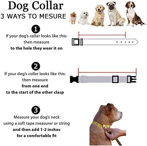 Roses&Poetry Reflective Dog Collar with Gradient Azure, Adjustable Durable Pet Collars for Small Medium Large Dogs (Azure-XS)
