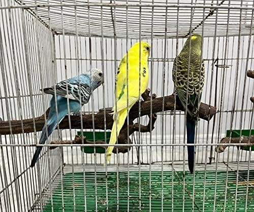 Bird perches Bird Perch Stand Perches for Cages Natural Bird Perch（4-Piece Set） (1)