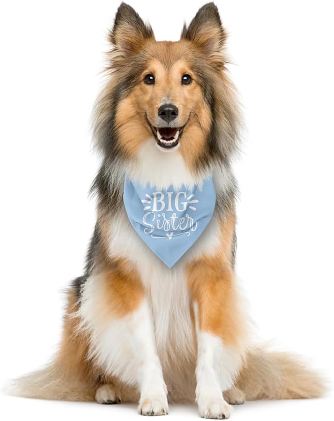 Big Sister Dog Bandana, Light Blue Pet Scarf Accessories, Pet Triangle Scarf, Dog Bandana for Small Medium Dogs, Baby Announcement Dogs Bandana (M)