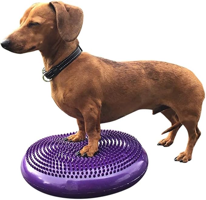 Dog Balance Disc Cushion 14" - With 2 Exercises and Pump - Dog rehab Exercise Strength Endurance Conditioning Fitness Flexibility Rehabilitation Physical Training Tool for Senior Dogs