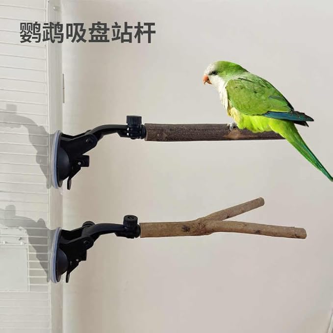 2 PCS Parrot Perch Stand with Suction Cup, Window Perch for Birds, 5.9 Inch for Small Bird, Bird perches for Mirror Window