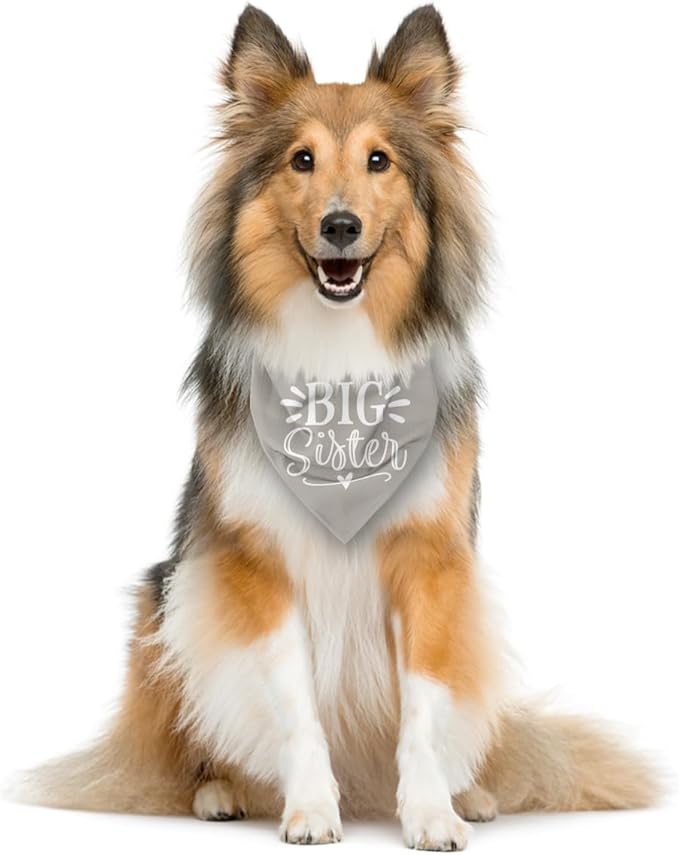 Big Sister Dog Bandanas, Light Gray Dog Bandana, Pet Triangle Scarf Accessories, Pet Bandanas for Large Dogs, Baby Announcement Dogs Bandana (L)