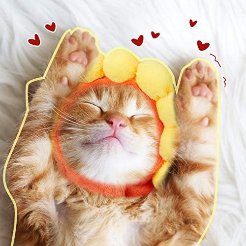 Weewooday 5 Pieces Cat Costume Christmas Bunny Hat Outfit with Ears Funny Cat Hat and Small Dogs Kitten Puppy Party Easter Christmas Headwear Costume Accessory(Cute Style)