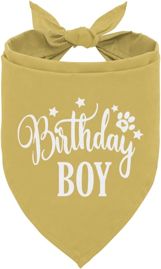Birthday Boy Dog Bandanas, Dog Birthday Bandana, Birthday Bandana for Small Medium Dog, Pet Accessories for Dog, Happy Birthday Dog Bandana for Boys, Pet Scarf (B17)