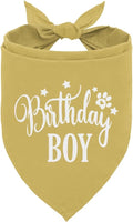 Birthday Boy Dog Bandanas, Dog Birthday Bandana, Birthday Bandana for Small Medium Dog, Pet Accessories for Dog, Happy Birthday Dog Bandana for Boys, Pet Scarf (B17)