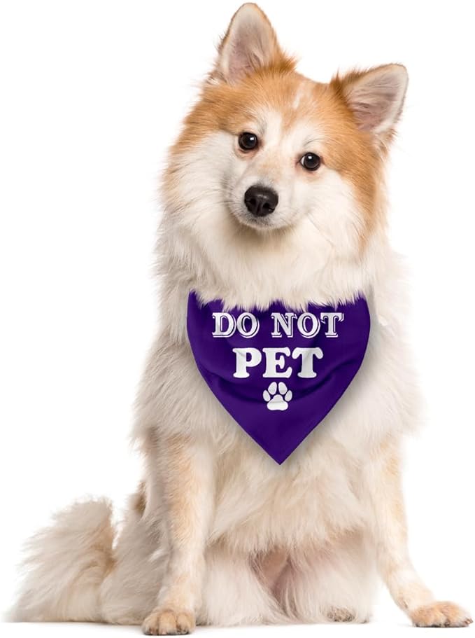 Do Not Pet Dog Bandana, Purple Dog Bandana, Funny Cute Dog Bandana, Pet Dog Triangle Scarf, Pet Dog Scarf Accessories, Gift for Dog Lover, Dog Bandana for Small Medium Large Dogs (E59)