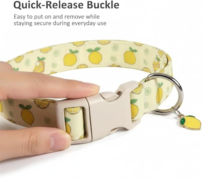 Dog Collar, Spring Summer Dog Collar with Yellow Lemon and Cute Charm, Pet Collar with Quick Release Buckle and Durable Fabric, Suitable for Medium Dogs