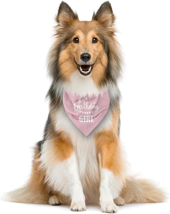 Birthday Girl Dog Bandana - Pink, Funny, Cute Triangle Scarf for Small, Medium, Large Dogs - Pet Accessories, Gift for Dog Lovers (D31)