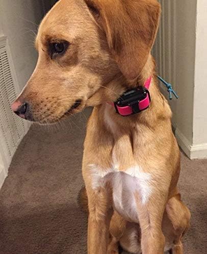 Sparky Pet Co 3/4" E Collar Easy Fit Surefit Replacement Electronic Training Collar (Pink- Black Camo Biothane)