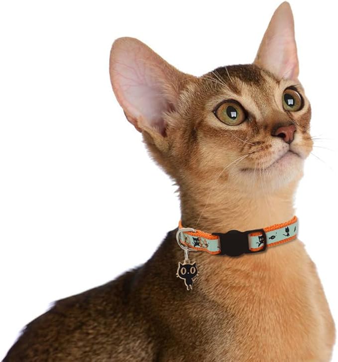 2 Pack Glow in The Dark Cat Collar with Bell Breakaway Safety Cat Puppy Collars with Pendant Orange and Blue