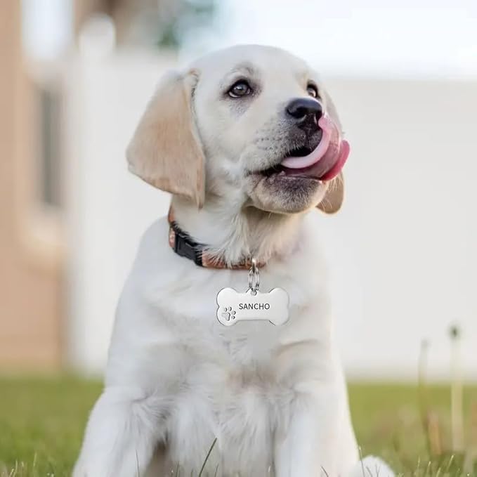 Engraved Tags Personalized for Pets, BUGMKCS Customized Pet Supplies with Name & Number, Hollow Cute Cat/Dog Id Tag Personalized, Gifts for Large/Small Dogs/Puppy, Stainless Steel Pet Accessories