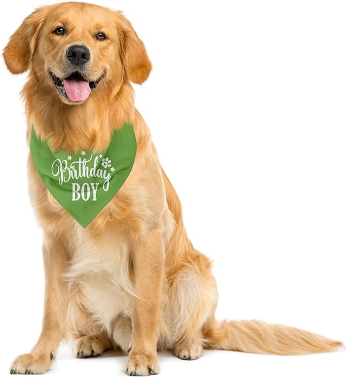 Happy Birthday Dog Bandana for Small Medium Large Dogs - Light Green, Boy 1st Birthday Gift for Dog Lovers (A20)