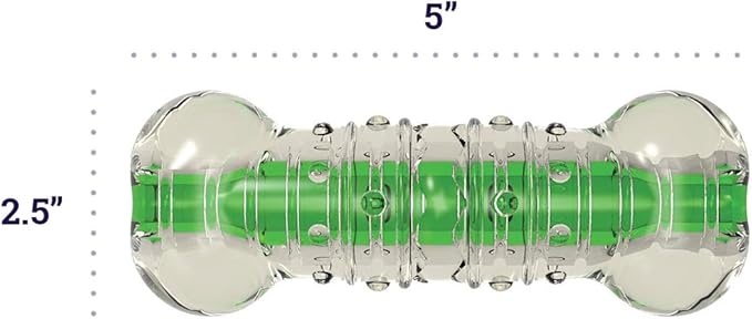 Petstages Crunchcore Bone Water Bottle Alternative Dog Chew Toy, Large