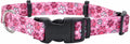 Coastal Pet SecureAway Collar Protector for Flea Collars - Adjustable pet Accessory - Protective Flea Collar for Dogs & Puppy - Multi Paws, 5/8" x 8-12"