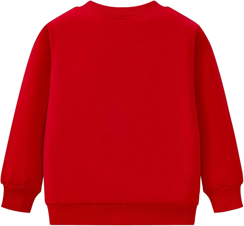 Toddler Baby Girls Cotton Sweater, Long Sleeve Crewneck Sweatshirt Pullover Kids Warm Clothing for Fall Winter