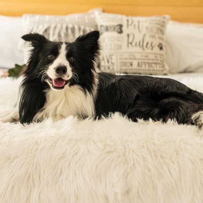 PupProtector Waterproof Throw Blanket for Dogs and Cats, Pet Blanket Cover for Couches, Sofas, Beds, Car Seats, Furniture, Calming Soft Faux Fur, Polar White, Large (80" L x 62" W)