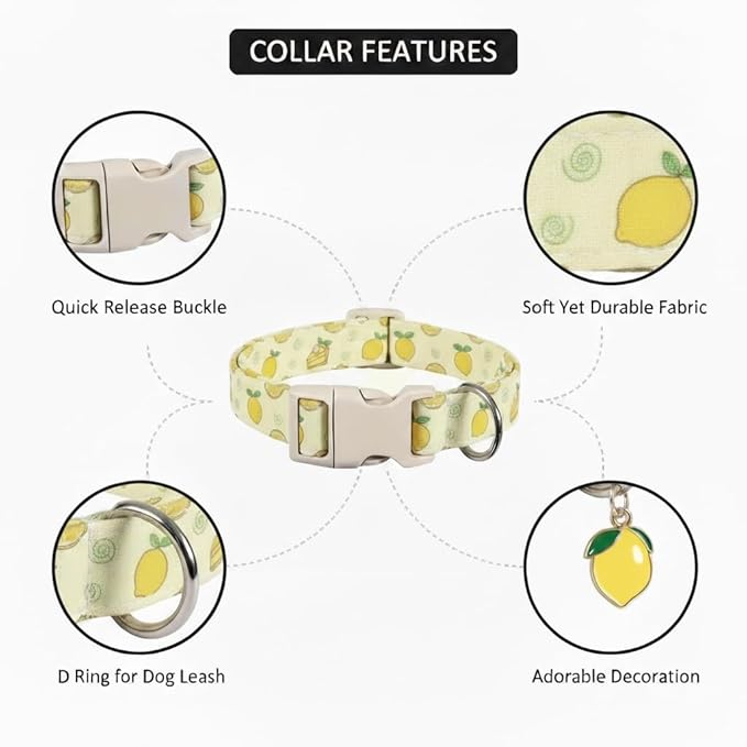 Dog Collar, Spring Summer Dog Collar with Yellow Lemon and Cute Charm, Pet Collar with Quick Release Buckle and Durable Fabric, Suitable for Medium Dogs