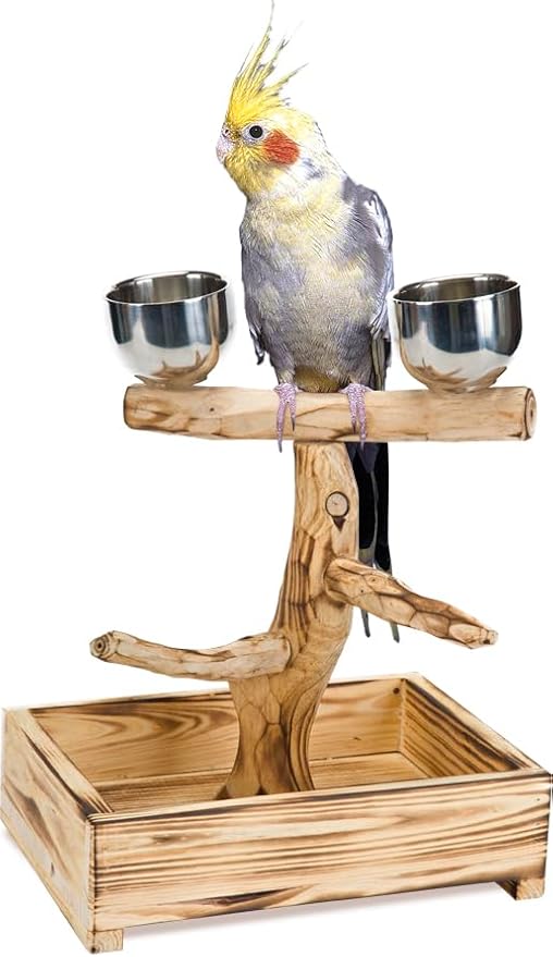 PENN-PLAX Bird-Life Natural Wood Tree Perch for Small and Medium Birds – Includes Food and Water Bowls with Drop Tray – Medium