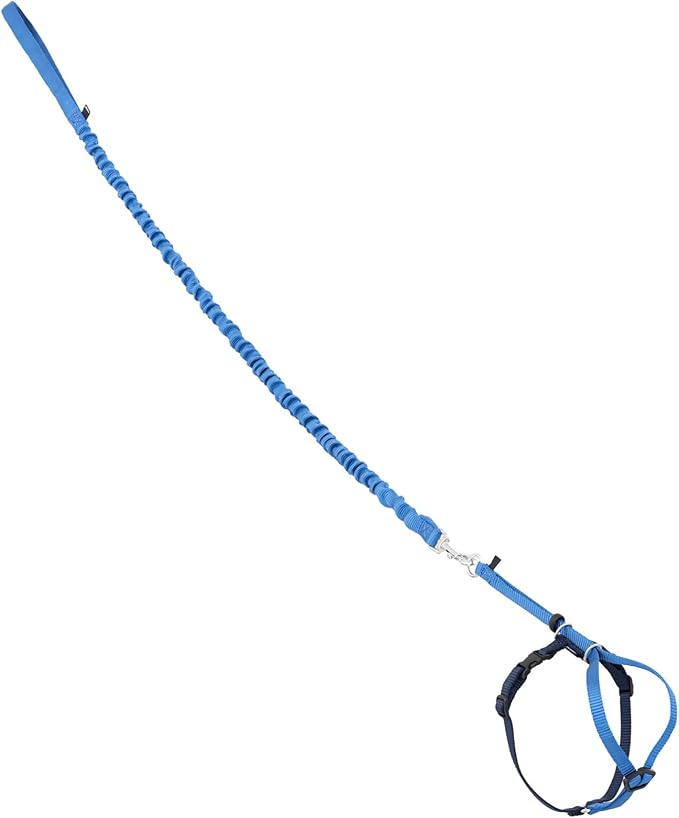PetSafe Come With Me Kitty Cat Harness & Bungee Leash - Comfortable Cat Harness with Lightweight Bungee Leash for Outdoor Fun - More Secure Walks - Small - Royal Blue