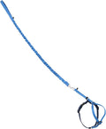 PetSafe Come With Me Kitty Cat Harness & Bungee Leash - Comfortable Cat Harness with Lightweight Bungee Leash for Outdoor Fun - More Secure Walks - Small - Royal Blue