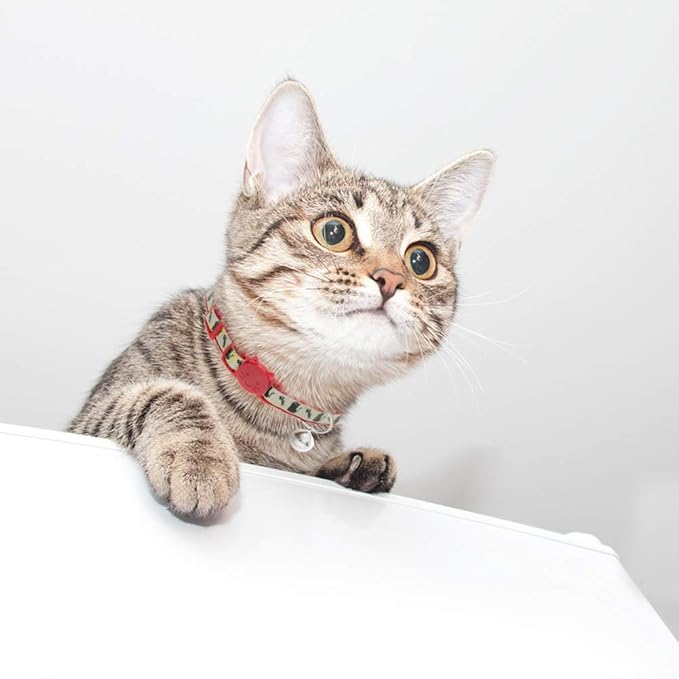 Cat Collars Breakaway with Bell - Glow in The Dark Collar 4 Pack - Fish & Cat Pattern 4 Colors for Kitty and Puppies, Adjustable from 7-11 Inch