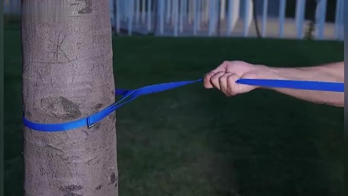 AMAGOOD Long Dog Leash for Training 15FT 20FT 30FT 50FT 100FT Long Dog Lead for Medium and Small Dogs Training,Tie Out,Play,Camping(15feet, Blue)