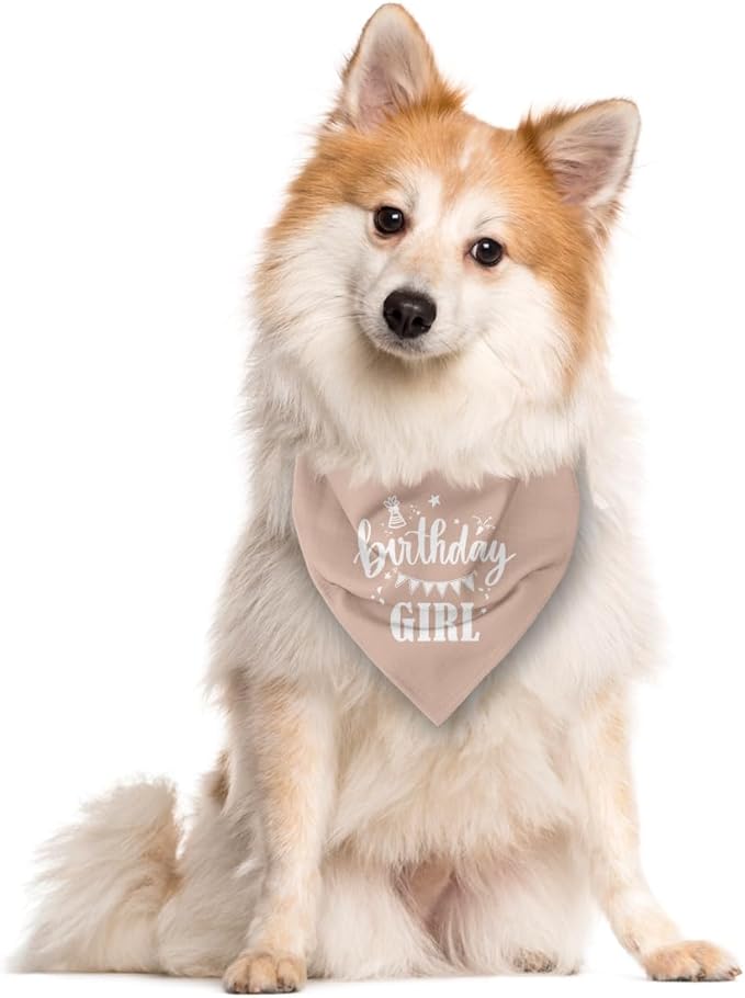 Birthday Girl Dog Bandana - Apricot Pink, Funny Cute Triangle Scarf, Pet Accessories for Small Medium Large Dogs, Gift for Dog Lover (D33)