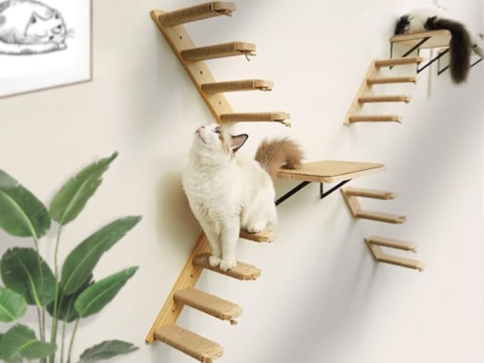 Cat Wall Shelves & Stairs - 2PCS Cat Furniture with 2PCS 4 Steps Climbing Shelves & Scratching Perches for Sleeping, Playing