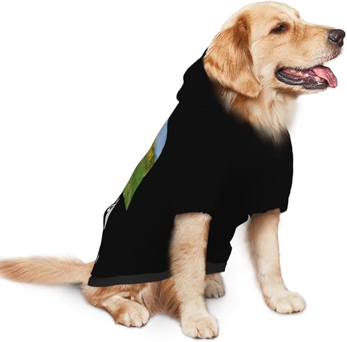 Customized Dog Hoodie with Name Logo Personalized Text Soft & Warm for Puppy Sweatshirt Hooded for Small Medium Large Dogs Girl/Boy Cats/Kitten, Brown, XL
