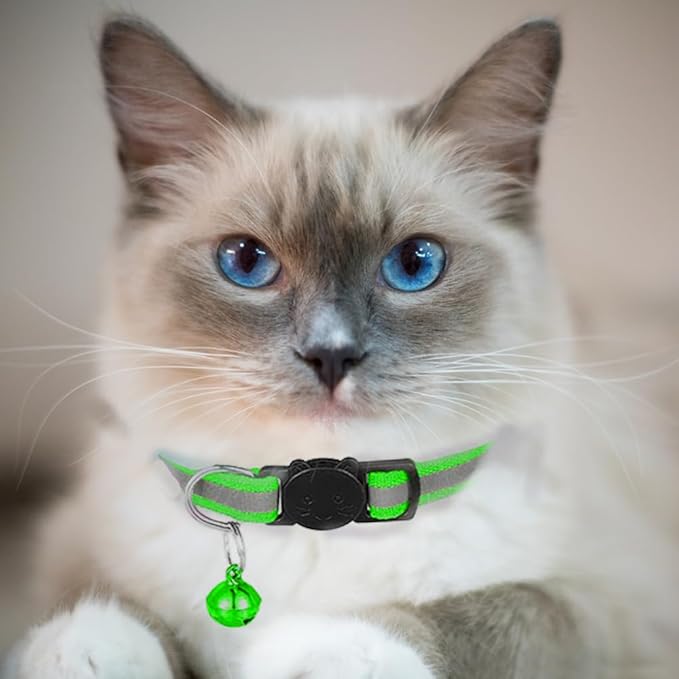 2 Pack Cat Collars Quick Release Reflective Kitten Collar with Bell & Safety Release (Light Green)