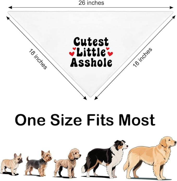 Cutest Little Asshole White Dog Bandana, Cute Soft Pet Scarf Decor, Funny Pet Bandanas Accessories for Outdoor Camping Playtime, Birthday Thanksgiving Gifts for Pet Lover Dog Mom Dad