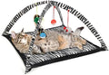 Cat Play Tent (Available in a Pack of 1)
