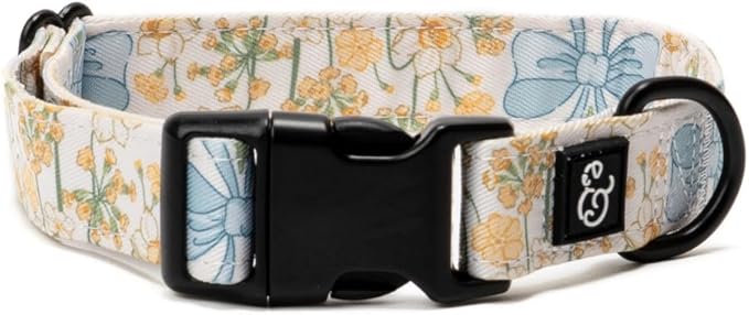 Lucy & Co. Sunshine and Daffodils Dog Collar, Adjustable Durable Dog Collar with Cute Print, Medium