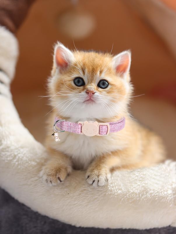 Cat Collar-2 Pack Cat Collar Blue and Pink Linnet with Kitten and Bell Pendant Safety Buckle Adjustable Pet Collar Suitable for Cats Gift to Cats and Small Pets