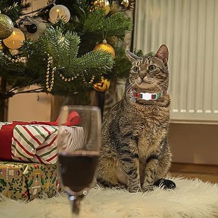 Lionet Paws 2pcs Pack Cotton Cat Collar,Breakaway Buckle Christmas Cat Colar with Santa,Red Green Dot Cute Adjustable Cat Kitten Collar,Ideal for Boy Cats