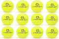 Hyper Pet Tennis Balls for Dogs - 12 Pack 2.5'' Durable Non-Toxic Outdoor Dog Toys Balls with Mesh Bag, for Fetch & Excercise, Medium to Large Breeds (Non Squeaky)