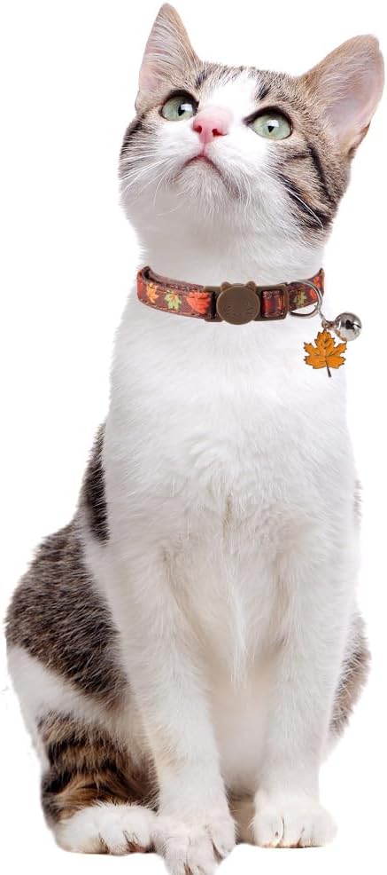 3 Pack Thanksgiving Cat Collar Fall Autumn Holiday with Bell Pendant Breakaway Adjustable Accessory for Kitten Kitty
