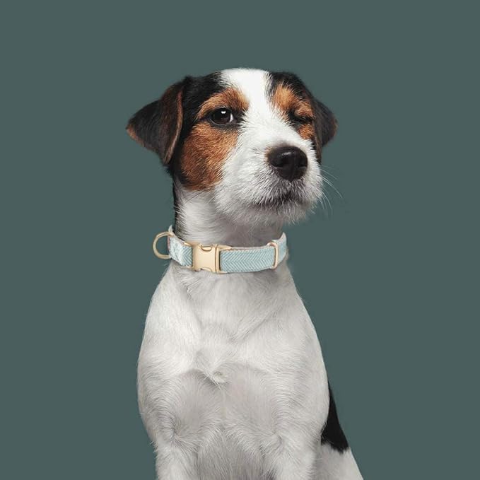 Soft Cotton Hemp Dog Collar with Metal Buckle Adjustable Twilled Dog Collars for Small Medium Large Dogs(Blue,Medium)