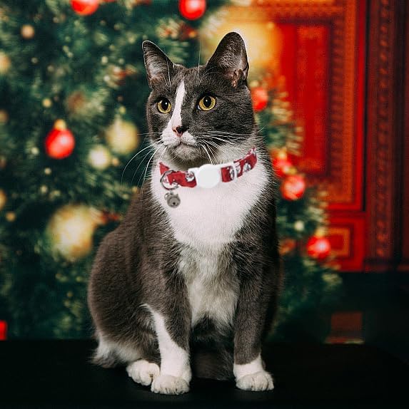 Lionet Paws 2pcs Pack Cotton Cat Collar,Breakaway Buckle Christmas Cat Colar with Santa,Red Green Grid Cute Adjustable Cat Kitten Collar,Ideal for Girl Cats Boy Cats