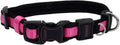 Coastal Pet - Coastal - Inspire Enhanced Core - Adjustable Collar, Pink, 1" x 18"-26"