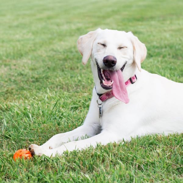 Chuckit! Air Fetch Ball Dog Toy, Extra Large (3.5 Inch Diameter), for dogs over 100 lbs