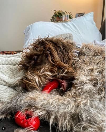 Jersey Dog Co Chompi Dog Bone, Rubber-Free Fillable Dog Bone Treat Holder, Safe Puppy Chew Toys, Made in USA Dog Toy 7" Long