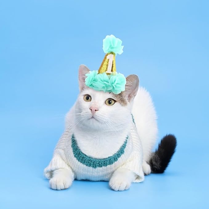 Stock Show 1st Pet Birthday Cone Hat Dogs Cats Holiday Party Hat Headwear Costume with Flowers Accessories and Adjustable Headband for Small Medium Dogs Cats Pets Baby (Blue)