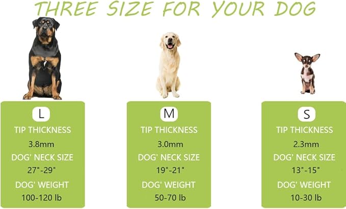 Prong Pinch Collar for Dogs with Quick Release Buckle, Adjustable Training Collar for Small Medium Large Dogs, Helps Prevent Dog from Pulling (3.0mm, Neck Size 19"-21"), Silver