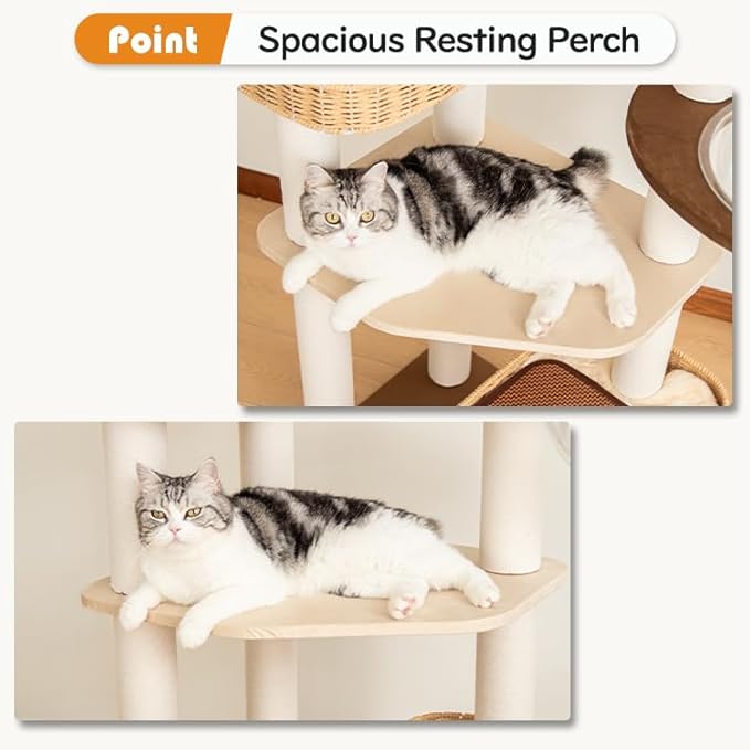 Modern Cat Tree for Large Cats, 48-Inch Tall Cat Tree Tower with Wide Shelves Cotton Scratching Posts, Super Sturdy Base, Cozy Perches, and Interactive Toys for Indoor