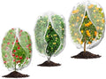 3Pcs Plant Covers from Insects, 3Size Bird Netting Barrier for Blueberry Bushes with Drawstring Zipper Mesh Garden Netting Plants Bags for Protect Fruits Tree Tomato Vegetable 2.6×3.3, 3.3×5, 4×5Ft