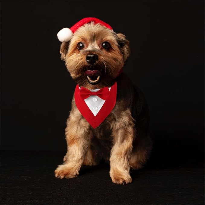 Dog Wedding Bandana, Formal Dog Tuxedo Adjustable Pet Collar with Bow, Small, Medium and Large Wedding Clothing, Birthday Gifts for Dogs (Small, Red)